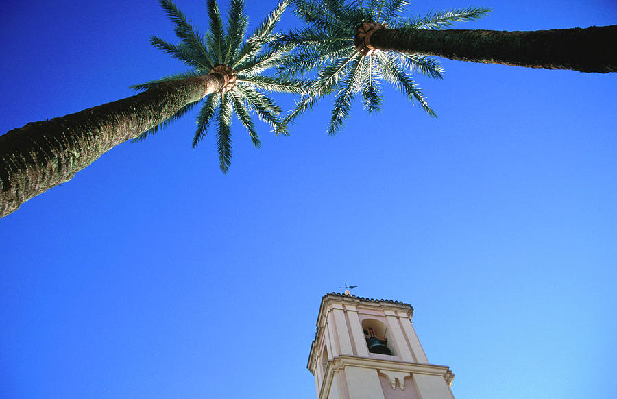 Palm Trees Framing Tower Of Iglesia De Photograph by Martin Llado