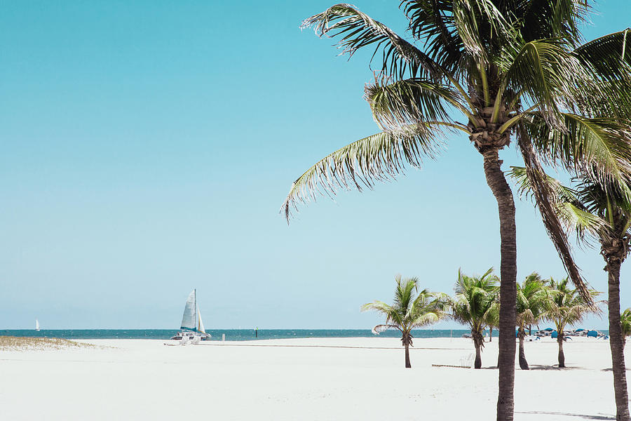 Palm Trees On Beach With Ocean And Boat Photograph by Sasha Weleber