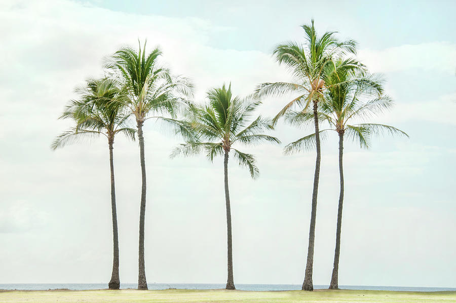 Palm Trees On the Beach by Ramona Murdock Palm Trees On the Beach by Ramona Murdock