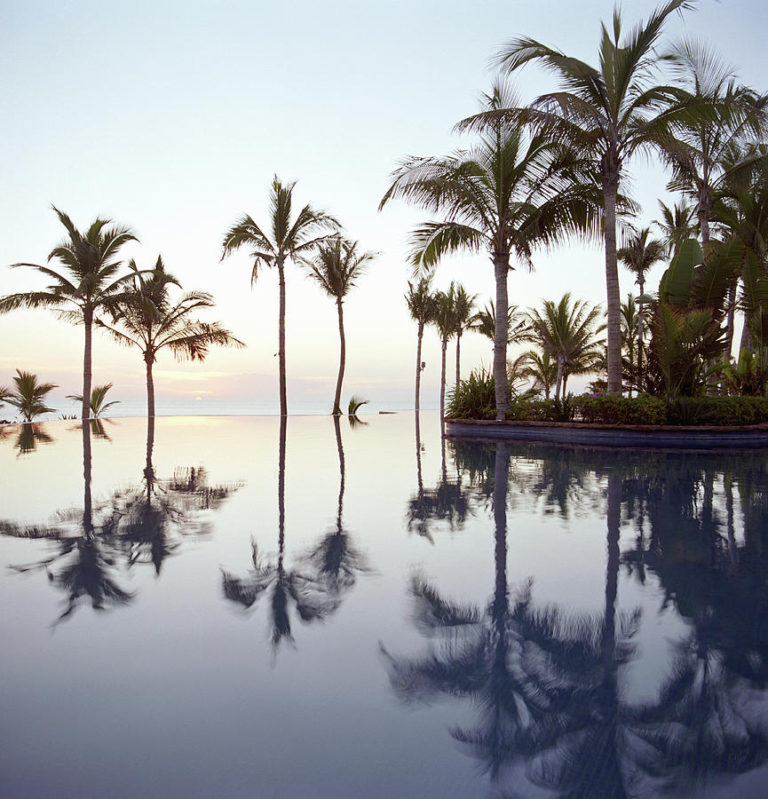 Palm Trees Reflected In Pool At Sunset Photograph by Paul Taylor