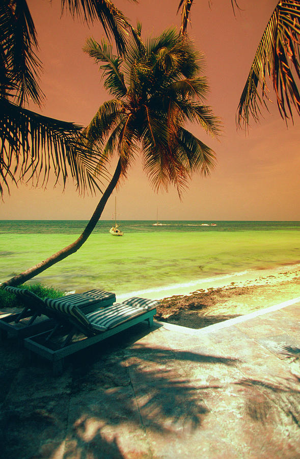 Palm Trees, Shadows And Sailboat At Photograph by Medioimages/photodisc