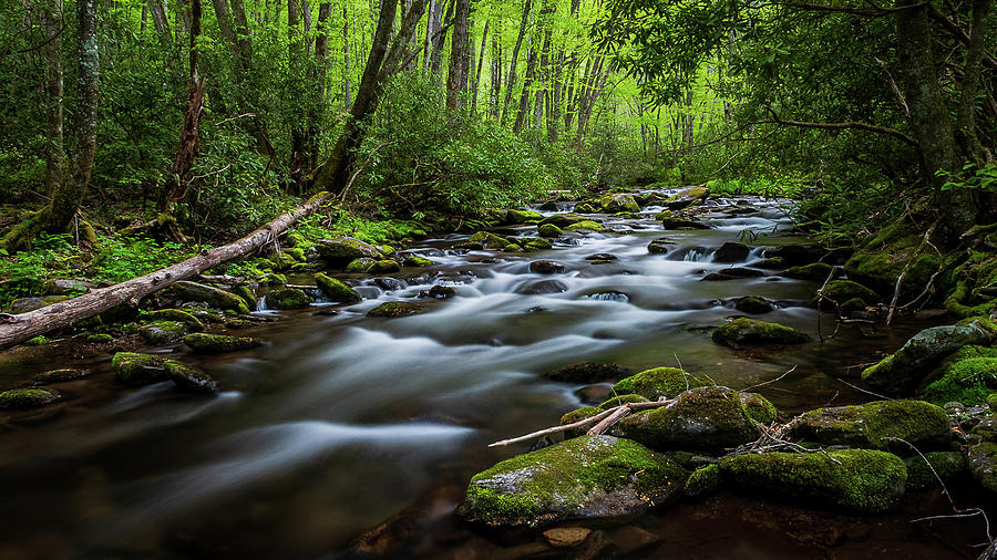 Palmer Creek Photograph by Wilson and Son Photography - Fine Art America