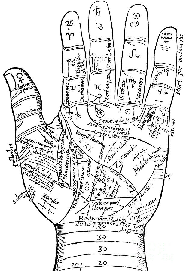 Palmistry Drawing by English School