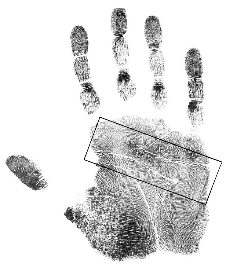 Palmistry, Head And Heart Lines Photograph by Science Source | Fine Art ...