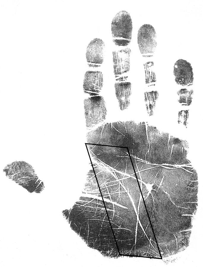 Palmistry, Life Line Photograph by Science Source - Fine Art America