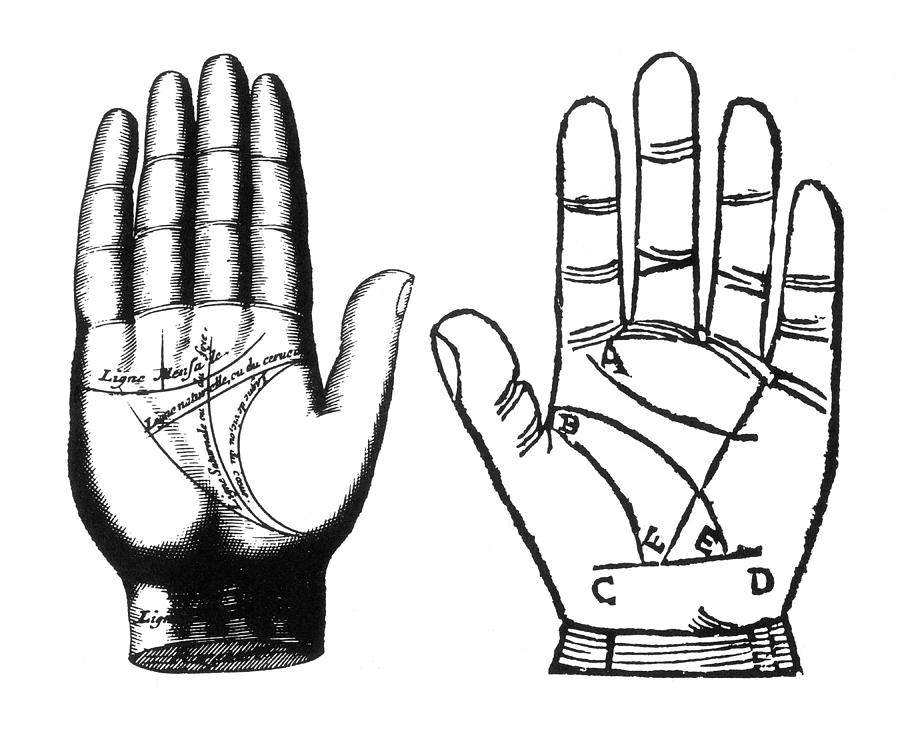 Palmistry, Ronphile And Indagine Palm Photograph by Science Source
