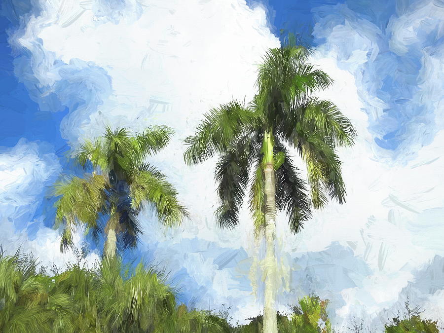 Palms at Emerson Point by Robert Stanhope Palms at Emerson Point by Robert Stanhope