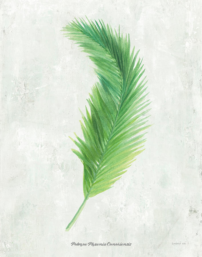 Botanical Names Painting - Palms Of The Tropics Vi Palmae by Danhui Nai