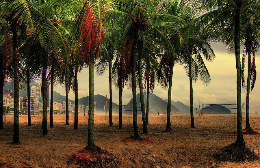 Palms On Copacabana Photograph by Mike Matthews Photography