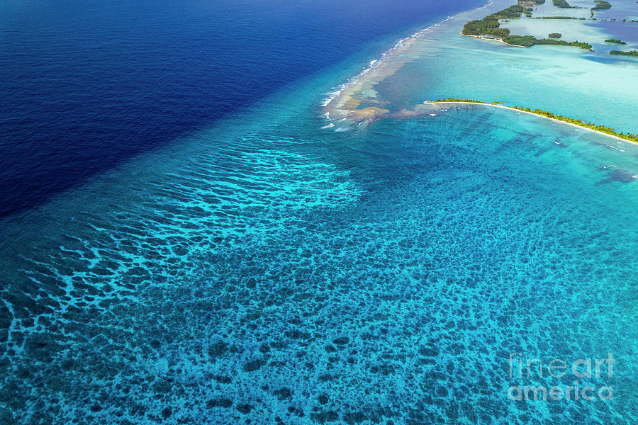 Palmyra Atoll And Reef Photograph by Richard Brooks/science Photo Library