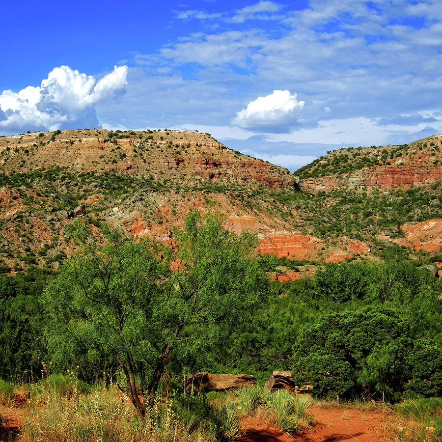 Palo Duro Canyon From the Ground Photograph by George Taylor