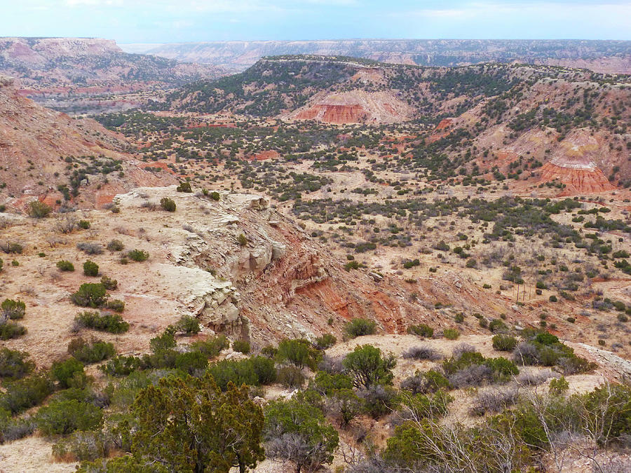 Nature Photograph - Palo Duro Canyon from the Top by Susan Porter