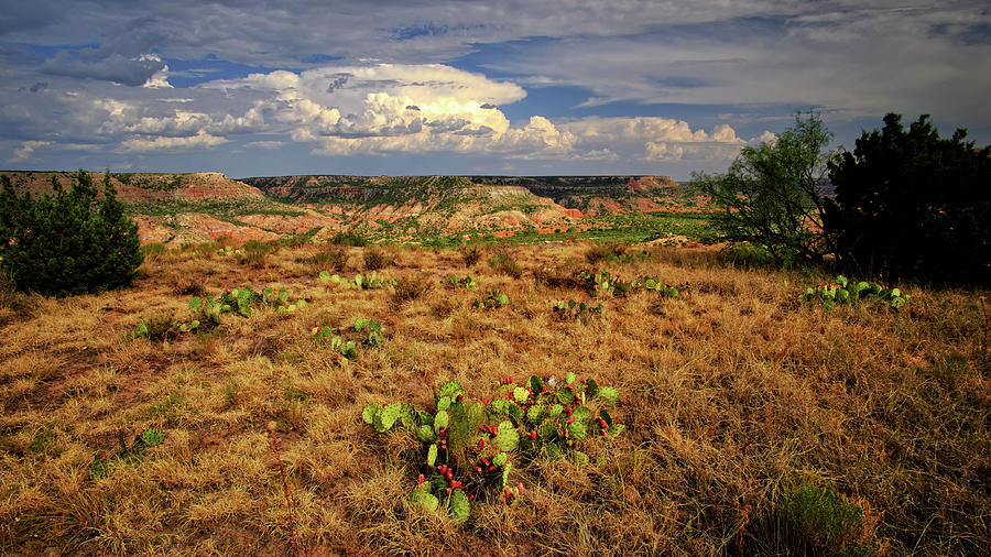 Palo Duro Canyon Photograph by George Taylor