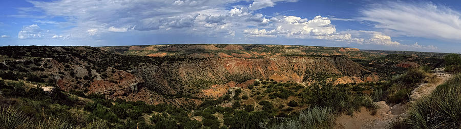 Palo Duro Canyon Panoramic Photograph by George Taylor