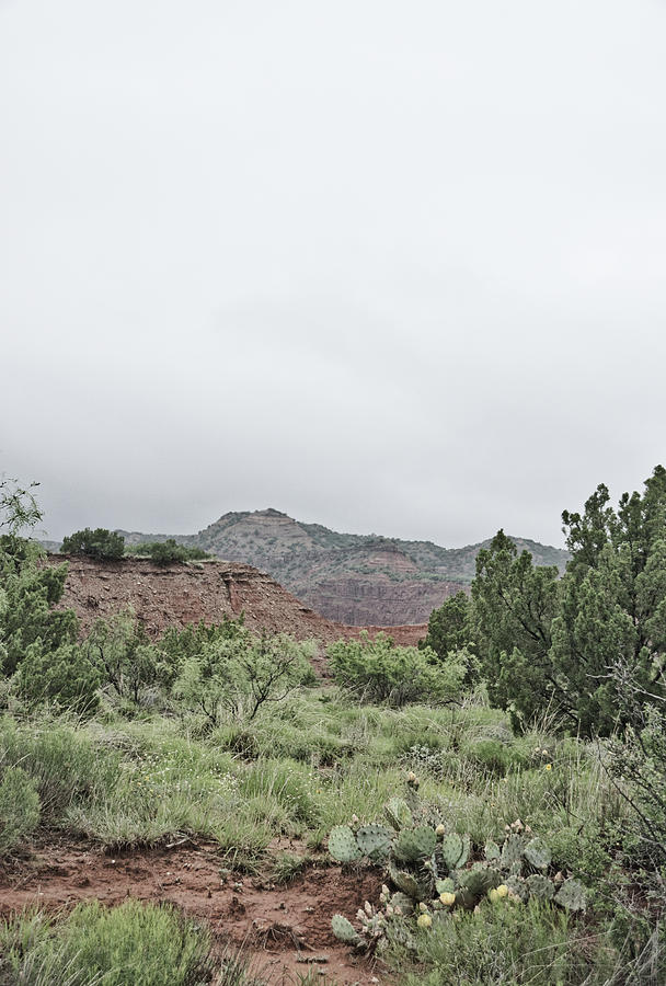 Palo Duro Canyon State Park 2 by Andrea Anderegg Palo Duro Canyon State Park 2 by Andrea Anderegg
