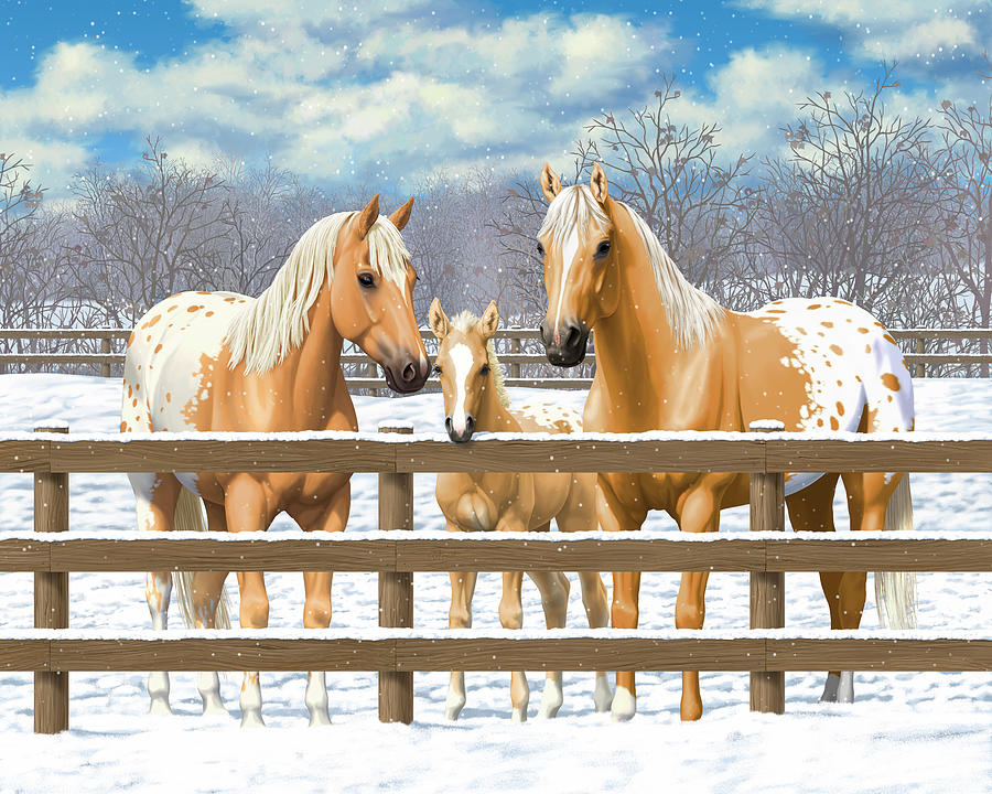 Palomino Appaloosa Horses In Snow Painting by Crista Forest