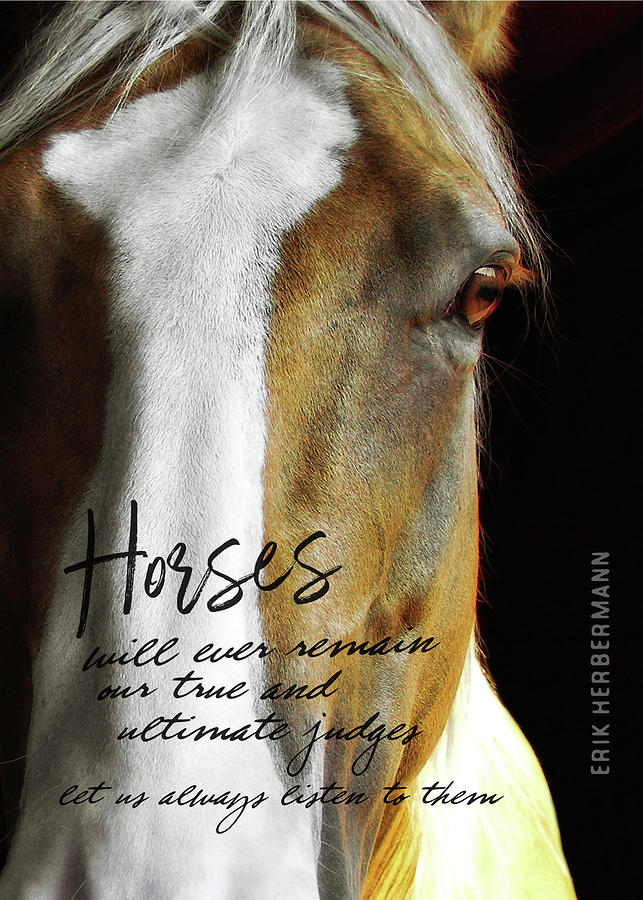 PALOMINO quote Photograph by Dressage Design