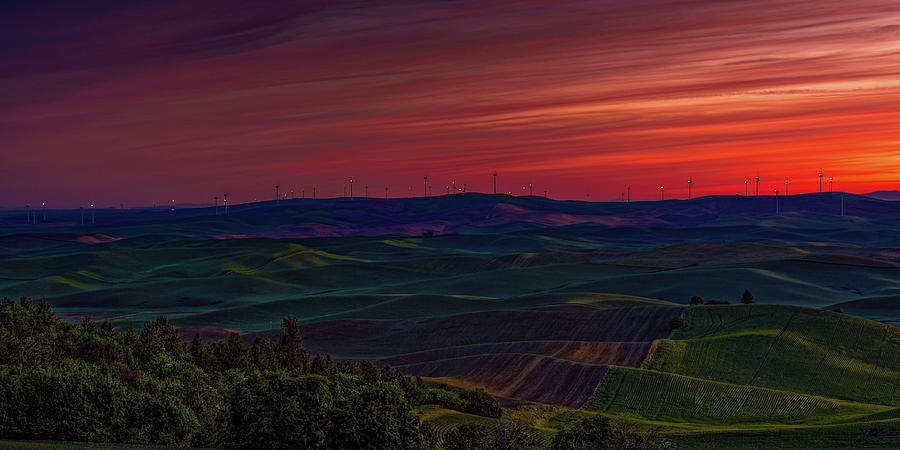 Palouse 8 by Thomas Hall Palouse 8 by Thomas Hall