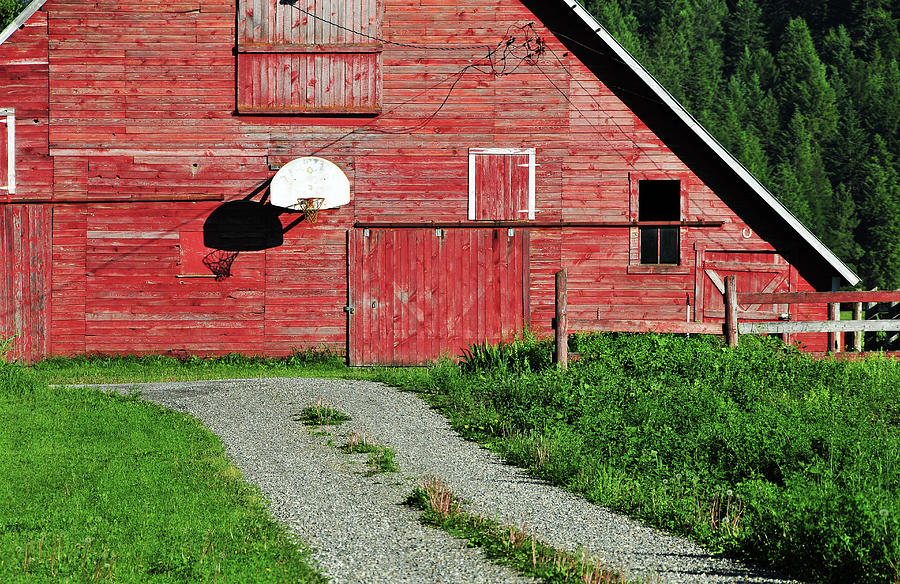 Palouse Barn With Basketball Hoop Photograph by Mitch Diamond