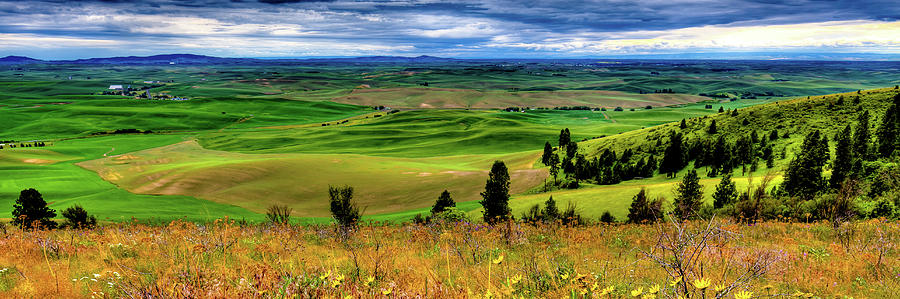 Palouse Hills from the Butte Photograph by David Patterson