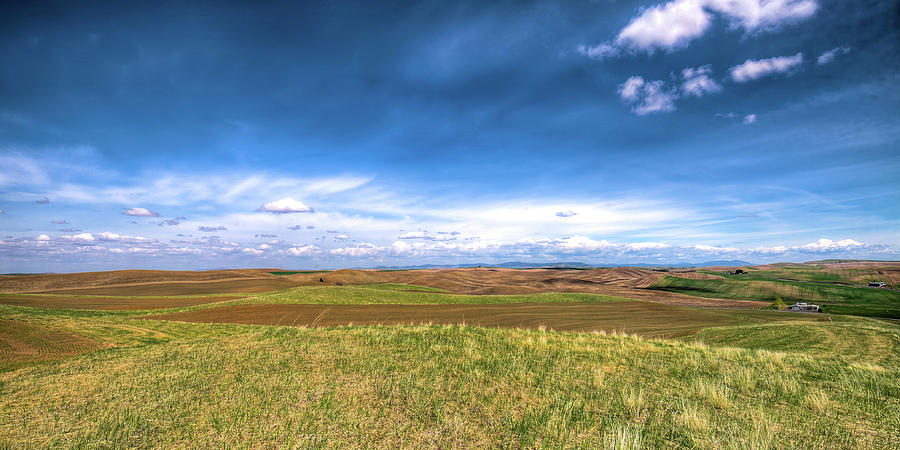 Palouse Hills in Spring Photograph by David Patterson