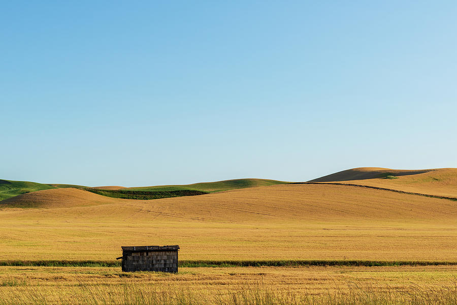 Palouse hills of wheat land Digital Art by Michael Lee Palouse hills of wheat land Digital Art by Michael Lee