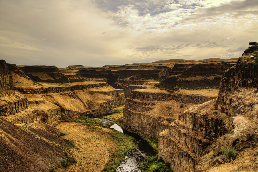 Palouse River And Gorge Photograph by Bob Pool