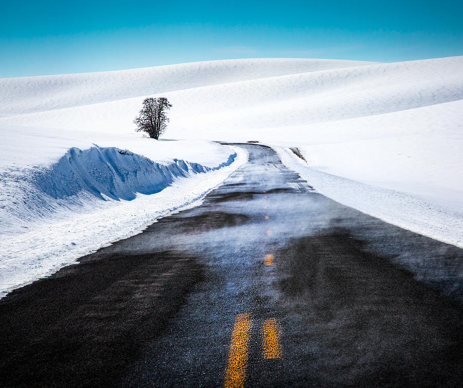 Palouse Road In Winter Photograph by Gregg Teasdale
