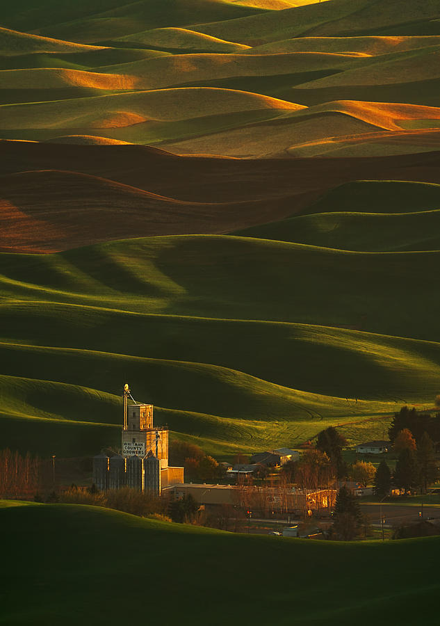Palouse Rolling Hills Photograph by Lydia Jacobs