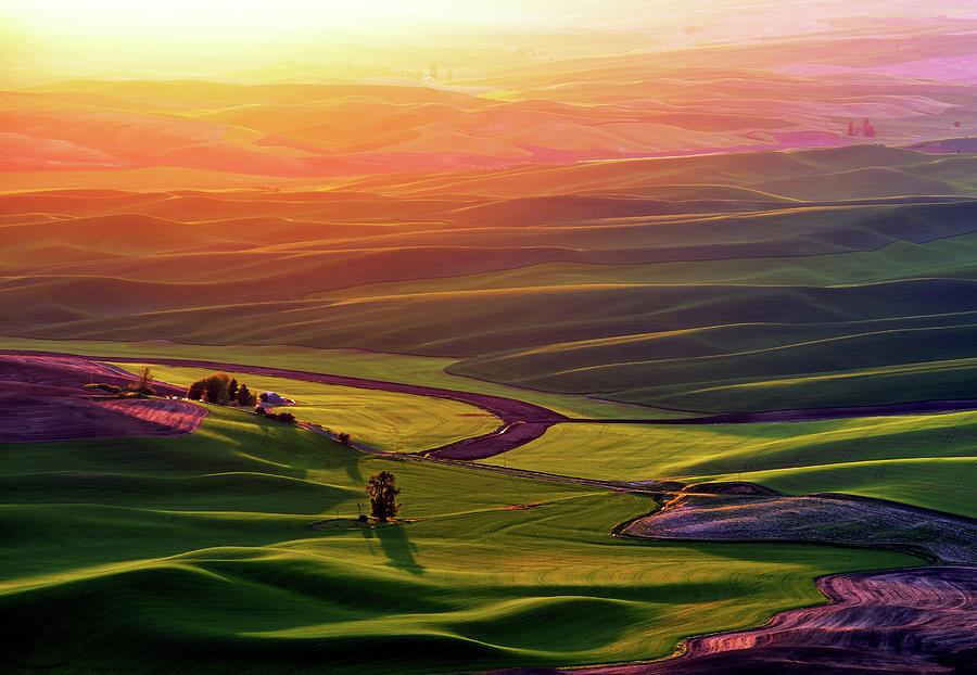 Palouse Sunrise Photograph by Mimai - Fine Art America