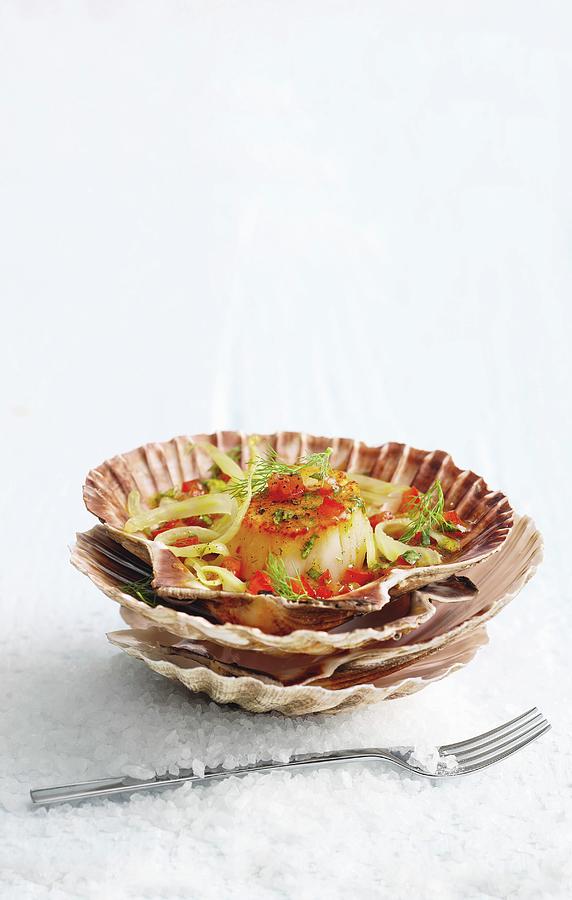 Pan-fried Scallops With Fennel And Tomate & Vanilla Vinaigrette Photograph by Jalag / Mathias Neubauer
