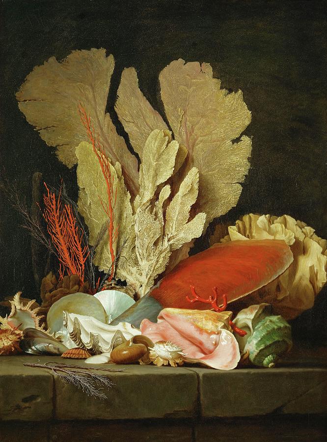 Louvre Painting - Panaches de mer, lithophytes et coquilles-Still-life with shells and coral Canvas. by Anne Vallayer-Coster Anne Vallayer-Coster