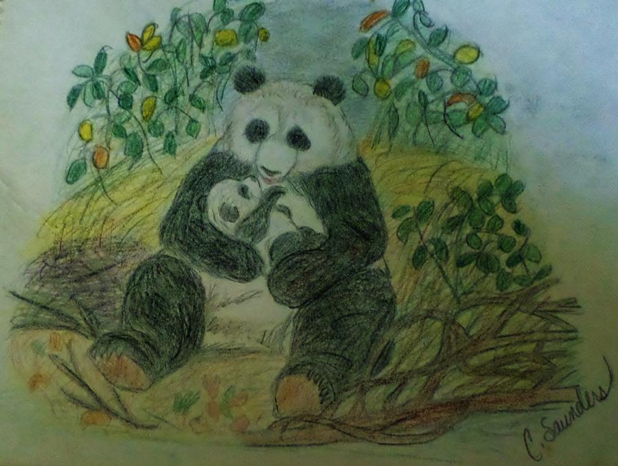 Panda and Baby Drawing by Christy Saunders Church