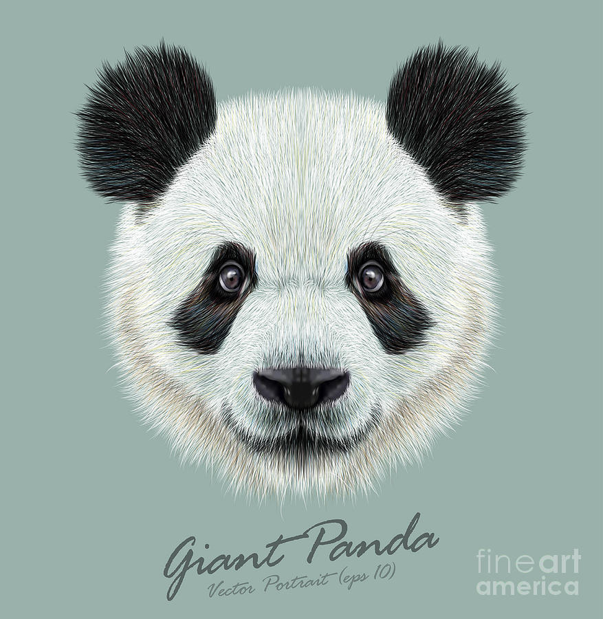 Panda Animal Cute Face Vector Asian Digital Art by Ant art - Pixels
