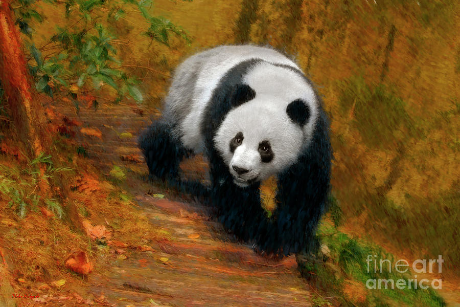 Panda Bear Stroll Photograph by Blake Richards