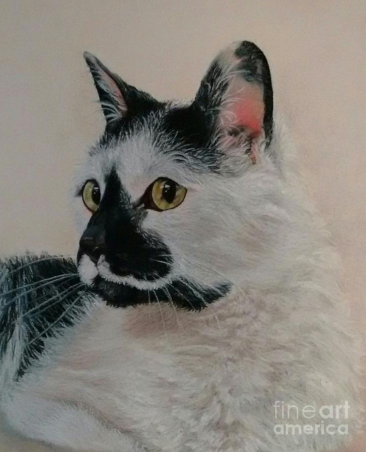 Cat Painting - Panda by Linda Eversole