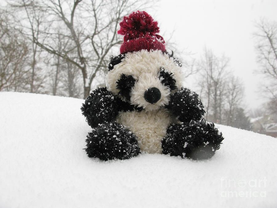 Stuffed Animal Photograph - Panda On The Snowy Day by Ausra Huntington nee Paulauskaite