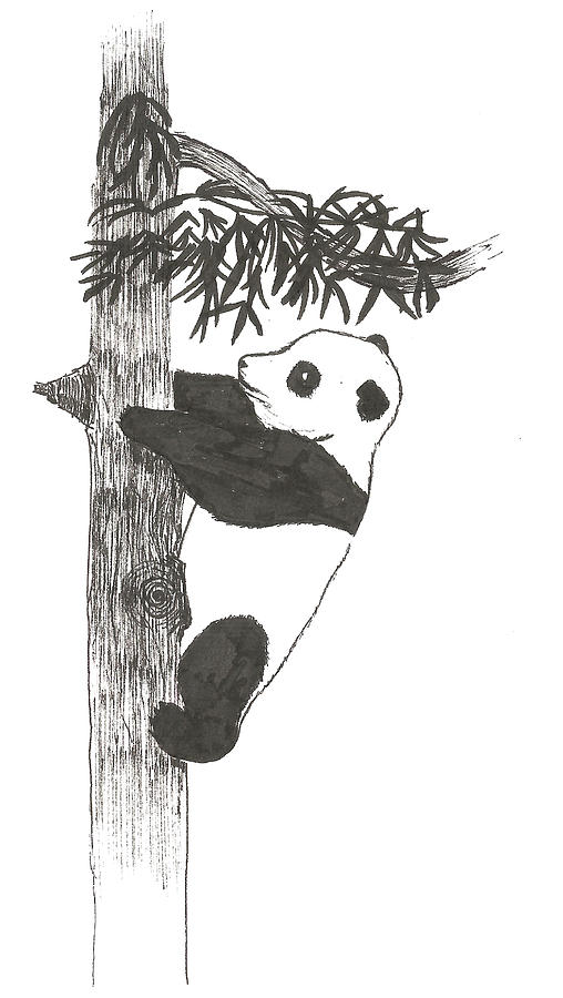 Realistic panda drawing sketch hanging on the tree, Try it now.