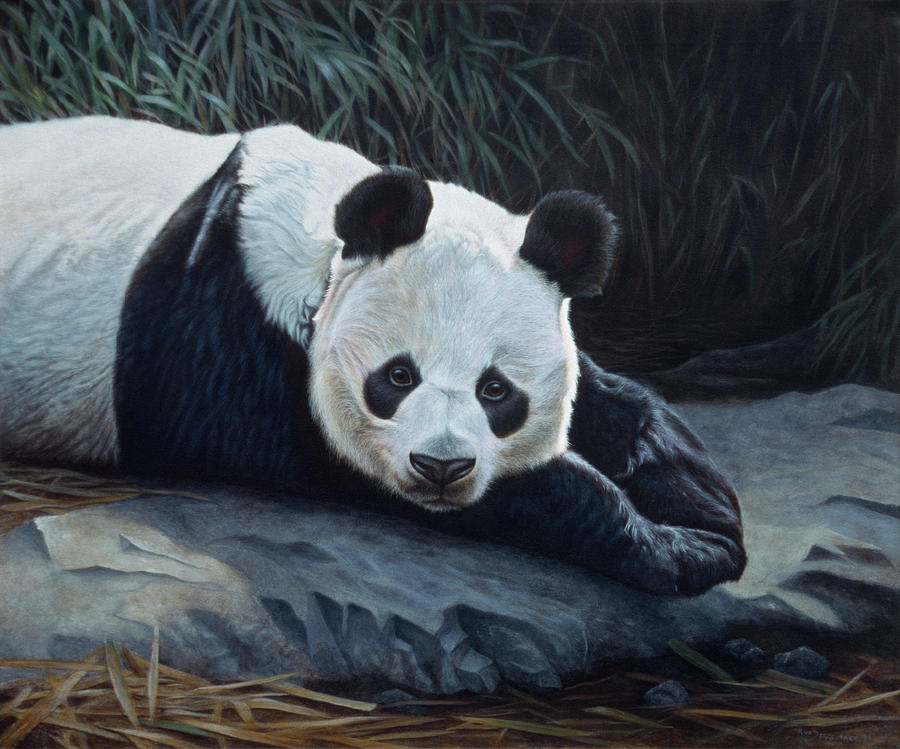 Panda Painting by Rusty Frentner