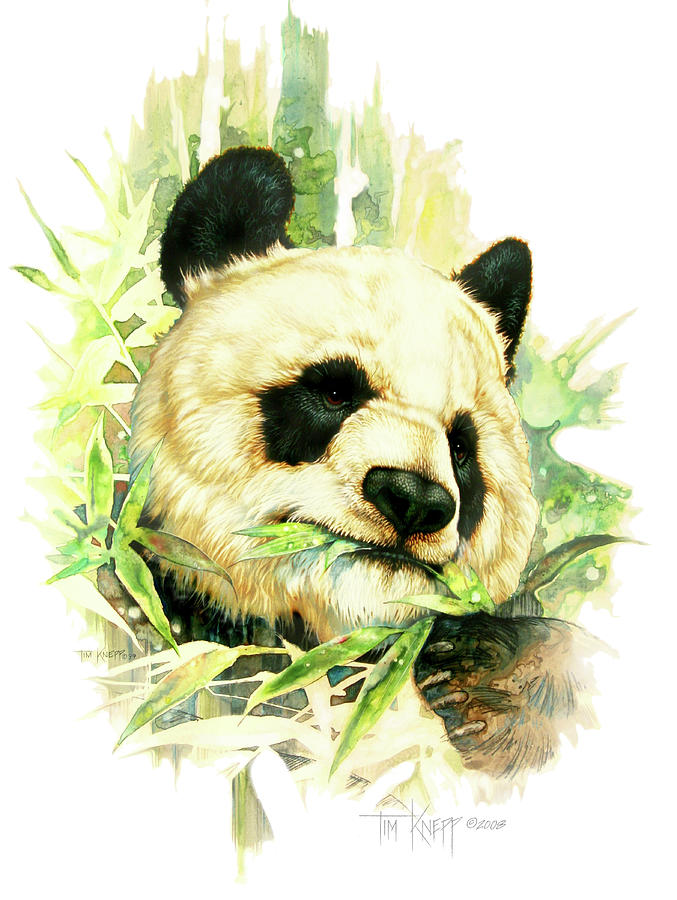 Bear Painting - Panda by Tim Knepp