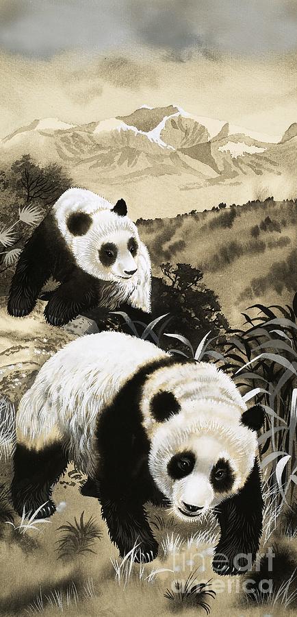 Pandas Painting by English School