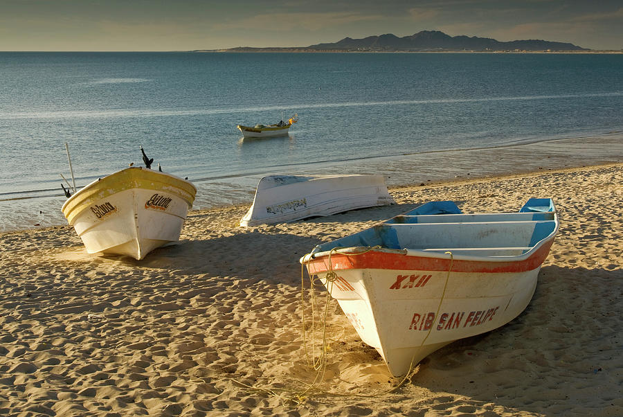 Panga Boats On Beach Along Bahia De San Photograph by Witold Skrypczak Panga Boats On Beach Along Bahia De San Photograph by Witold Skrypczak