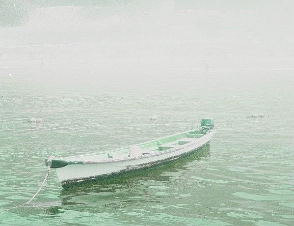 Panga in the mist Photograph by Fred Bailey
