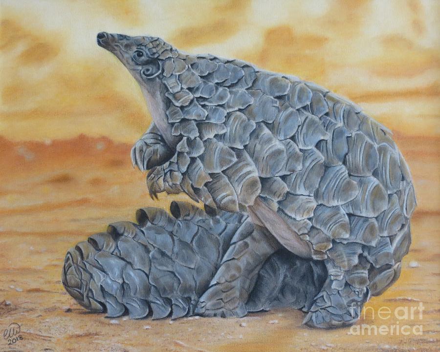 Pangolin Drawing by Cheryl Wiltshire