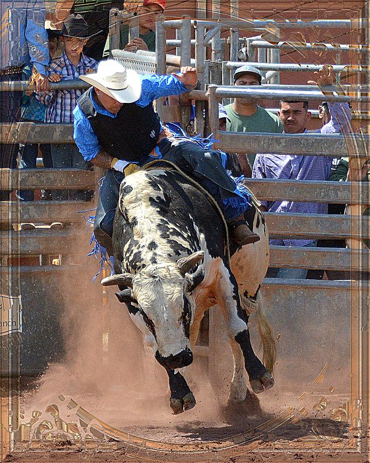 Bull Photograph - Paniolo Bull Rider by Lori Seaman