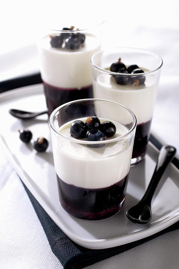 Panna Cotta With Blueberries And Blackcurrants Photograph by Pizzi, Alessandra