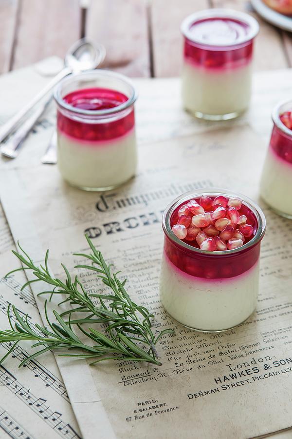 Panna Cotta With Pomegranate Seeds Photograph by Aniko Takacs