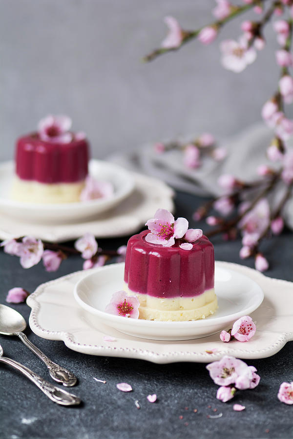 Panna Cotta With Spring Flowers Photograph by Joanna Lewicka