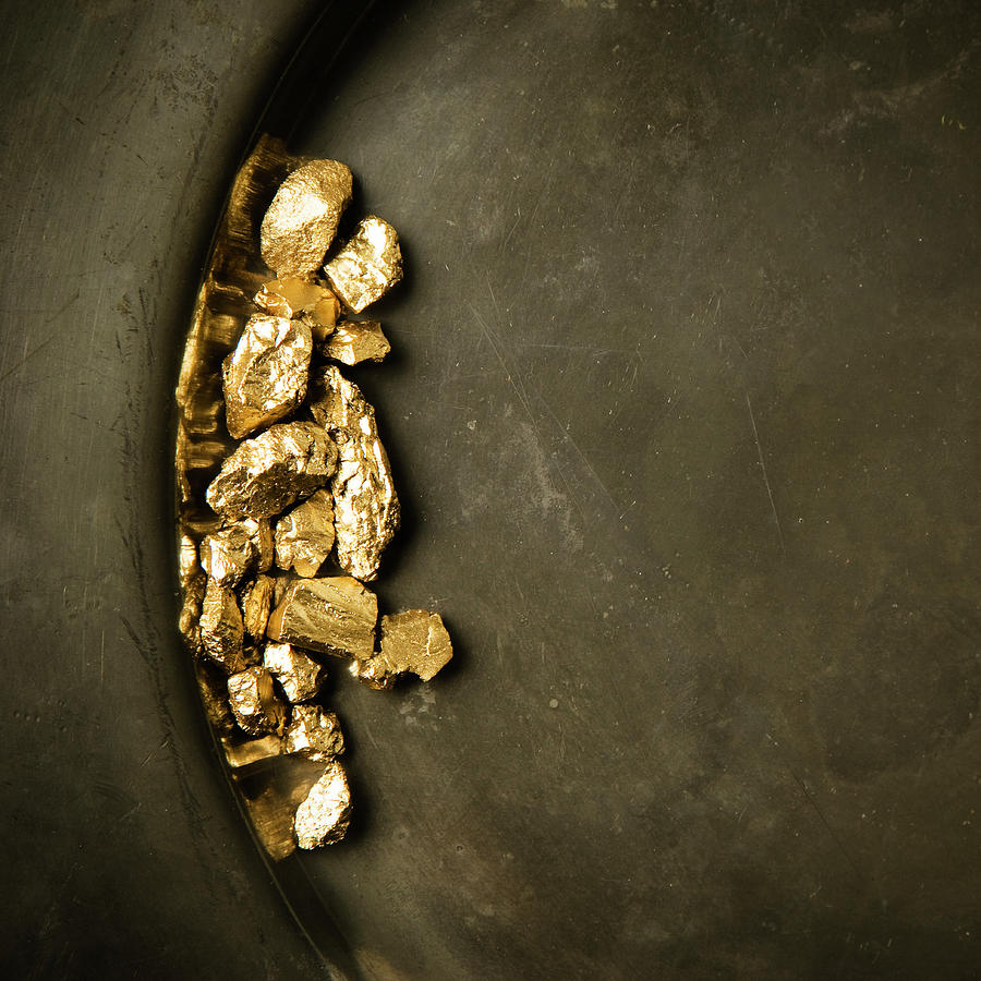 Panning For Gold Photograph by Joseph Clark