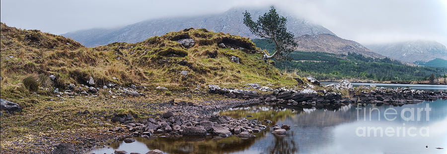 Panorama Connemara Tree Photograph by Lidija Ivanek - SiLa